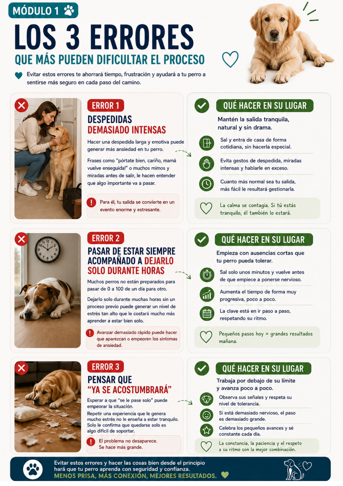 Guía Adiós Ansiedad por Separación — Plan de 14 Días (PDF Descargable)
