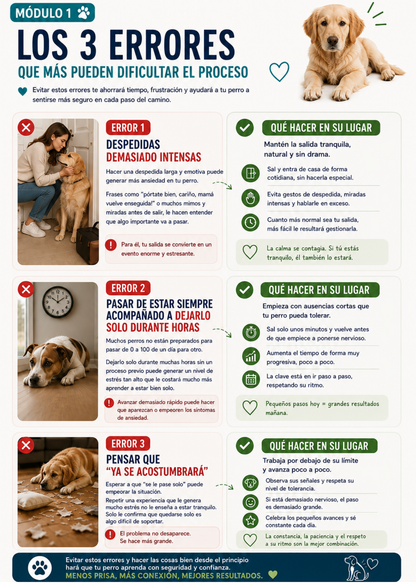 Guía Adiós Ansiedad por Separación — Plan de 14 Días (PDF Descargable)