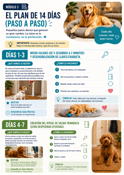 Guía Adiós Ansiedad por Separación — Plan de 14 Días (PDF Descargable)