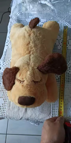 Foto del cliente 3-1