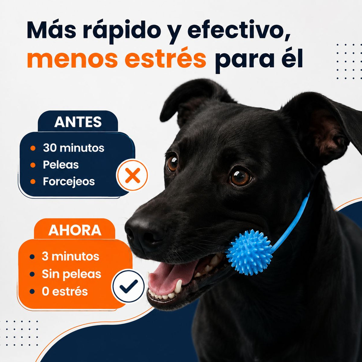 Juguete Dental para Perros | Limpiadientes