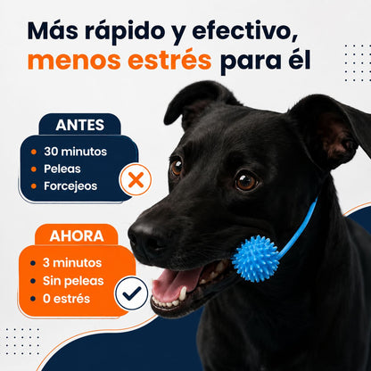 Juguete Dental para Perros | Limpiadientes
