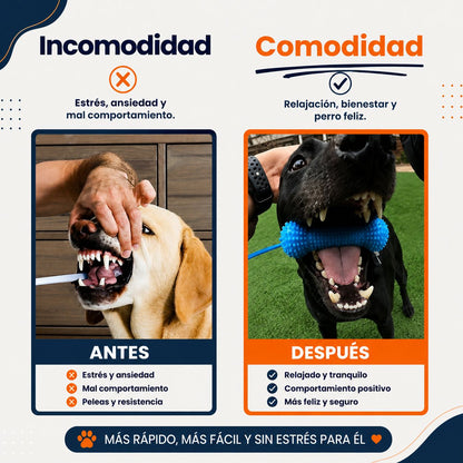 Juguete Dental para Perros | Limpiadientes