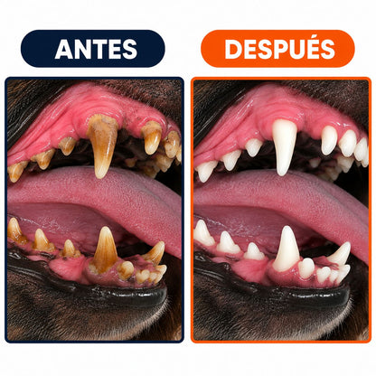 Juguete Dental para Perros | Limpiadientes